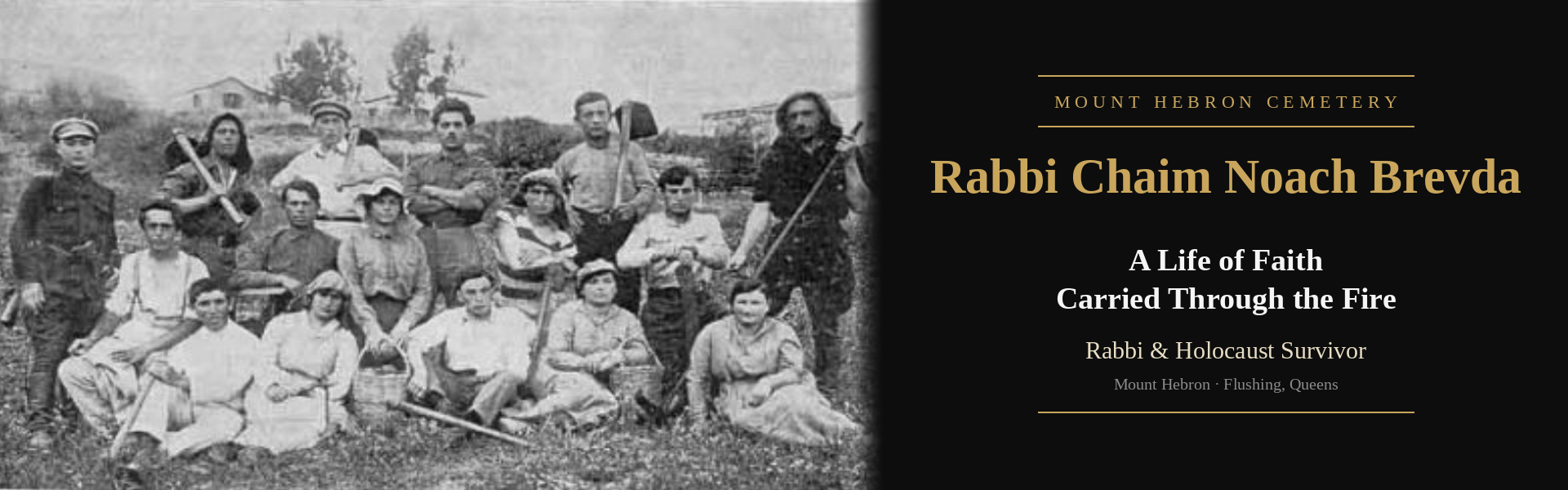 Story Image 15